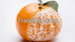 Fresh Class 1 Mandarin orange