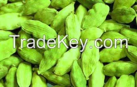 green cardamom