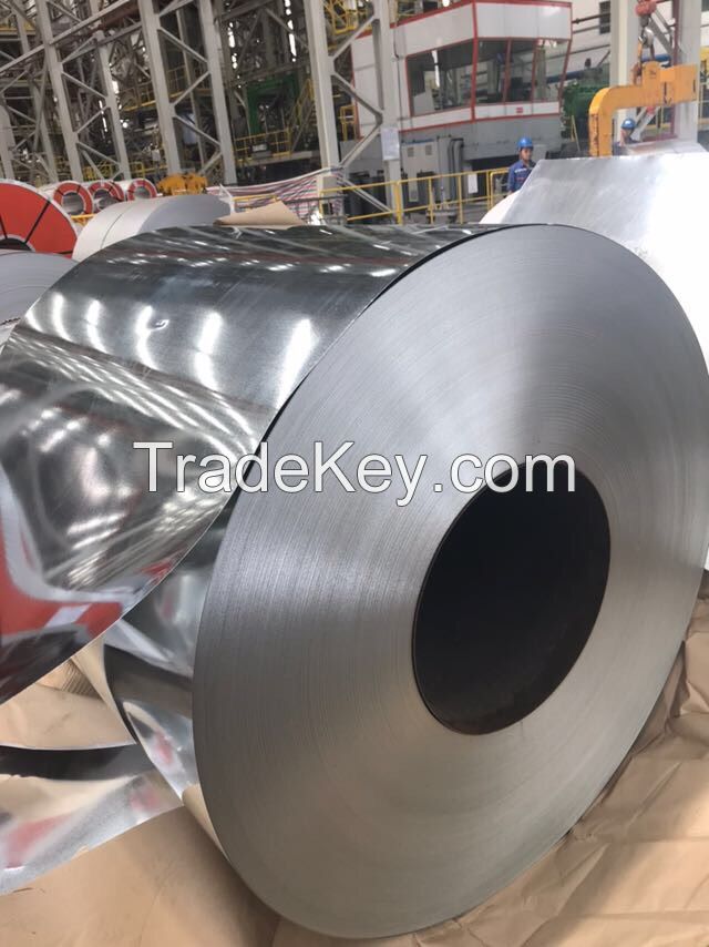 Hot dip galvanized coils (GI coils) No Anti-dumping guarantee