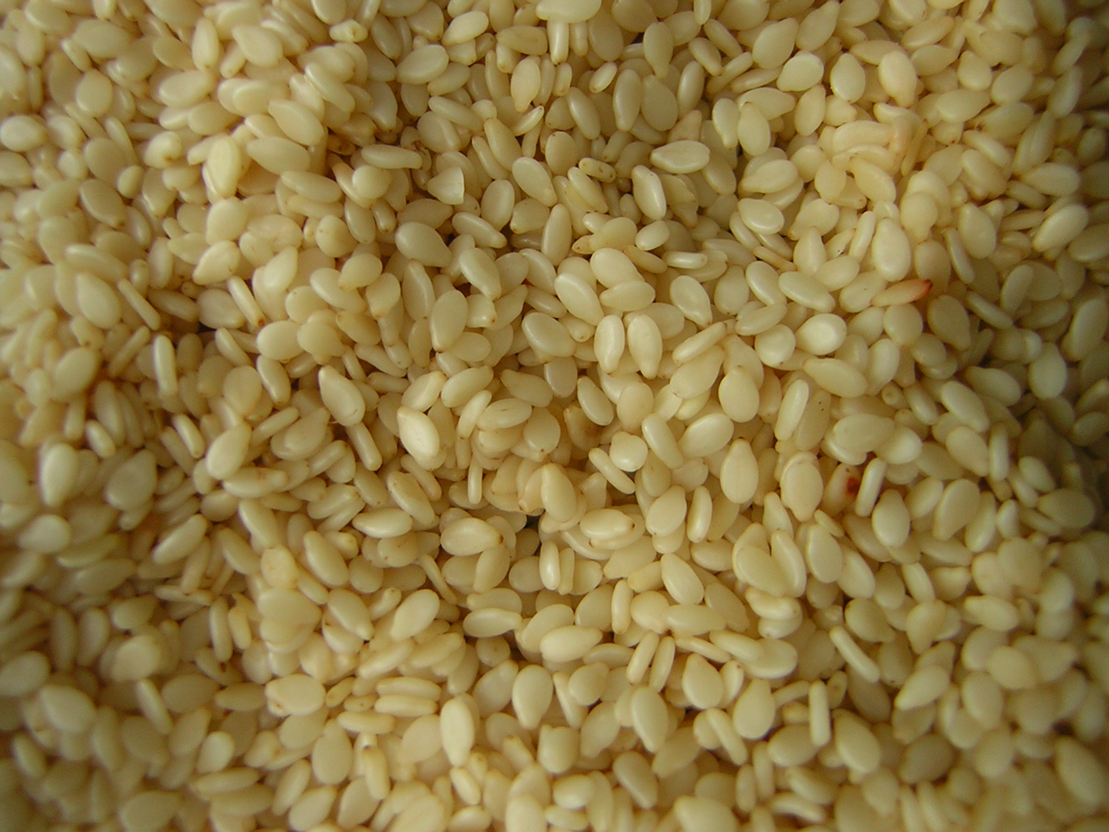 Sesame Seeds