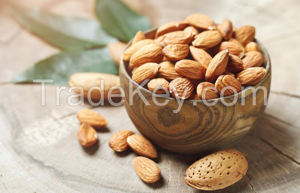 Cheap price premium Almond Nuts Almond Kernel Sweet Almond