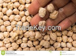 Chickpeas , 7mm 8mm 9mm 10mm 11mm 12mm Kabuli Chickpeas 