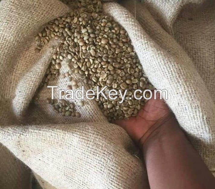 High Quality Arabica Green Coffee Beans Grade A