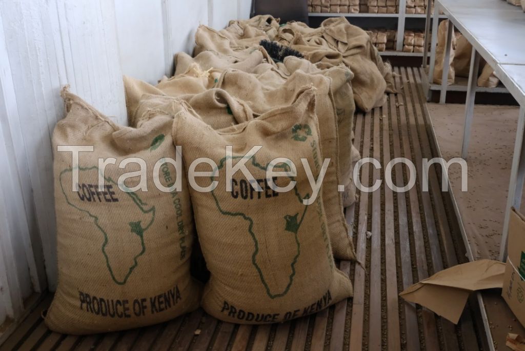 High Quality Arabica Green Coffee Beans Grade A
