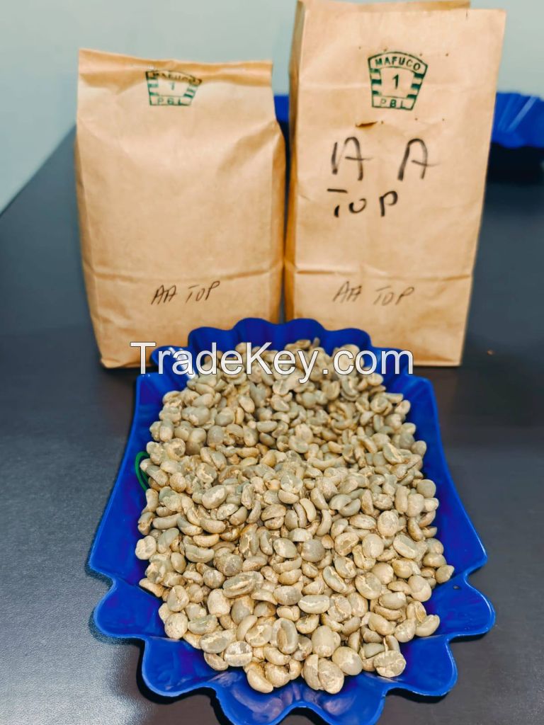 High Quality Arabica Green Coffee Beans Grade A