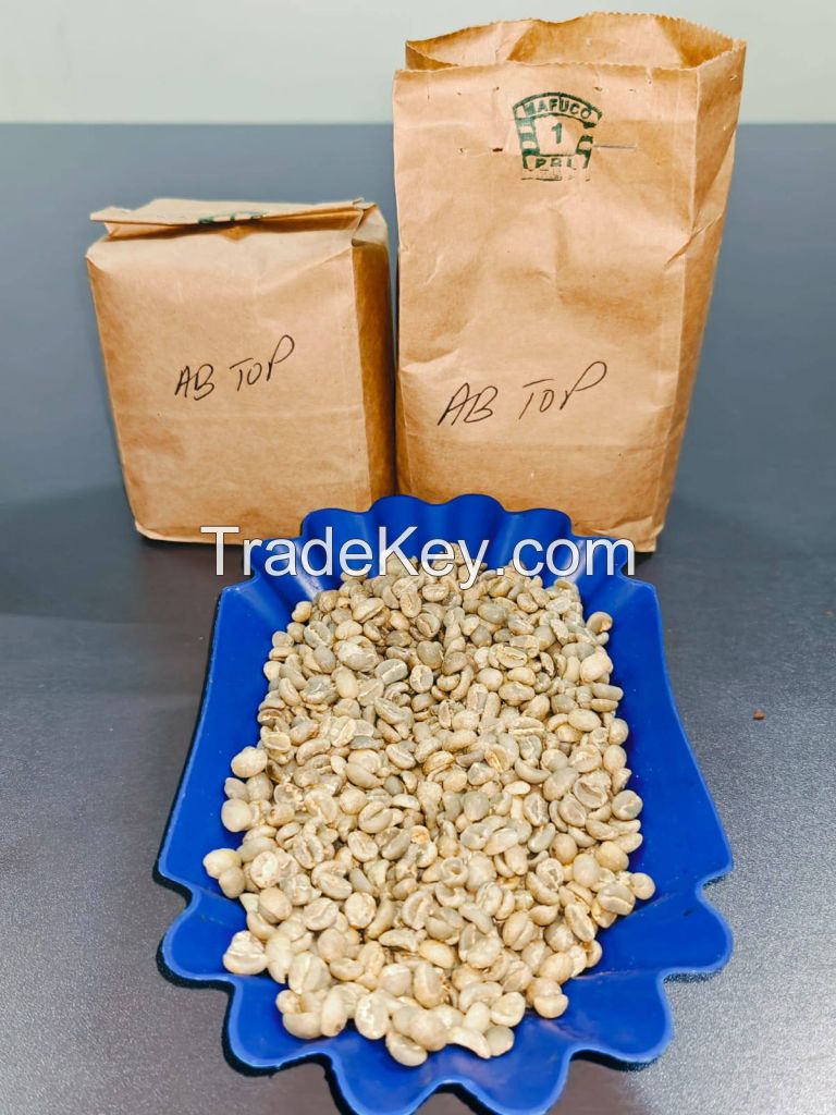 High Quality Arabica Green Coffee Beans Grade A