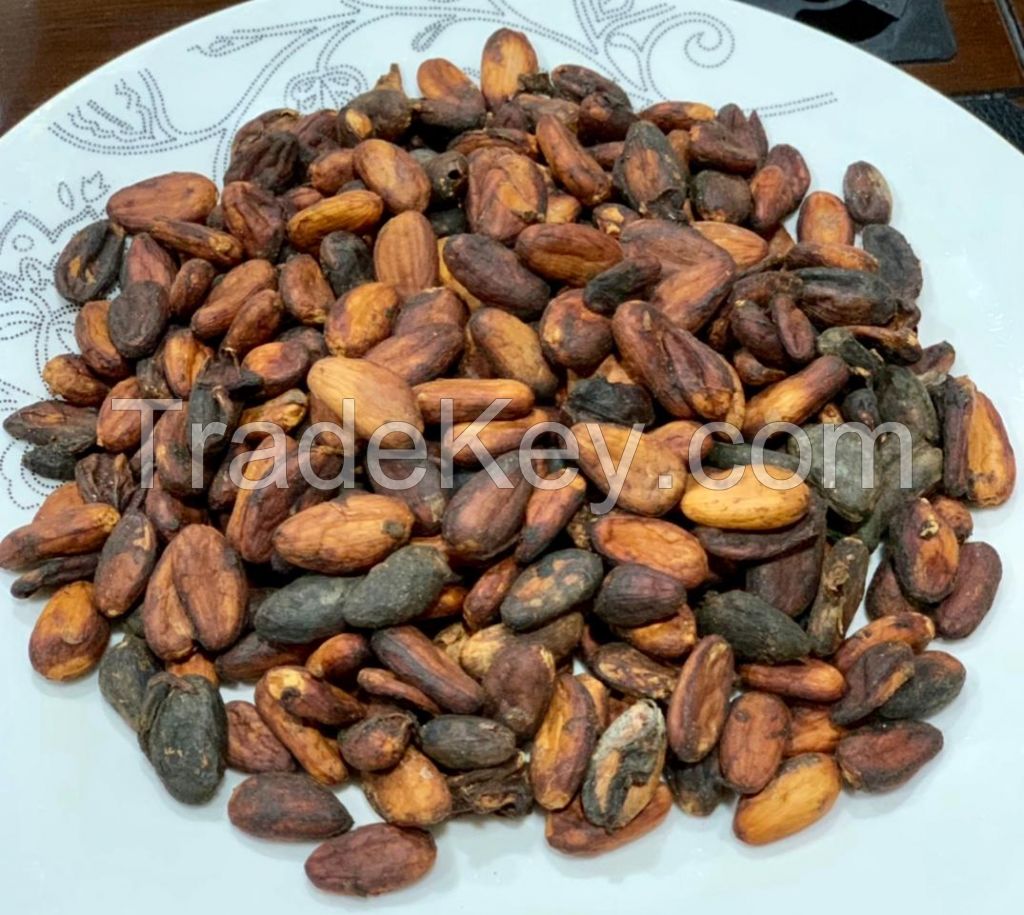 Cocoa Beans