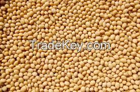 Non-GMO soybeans