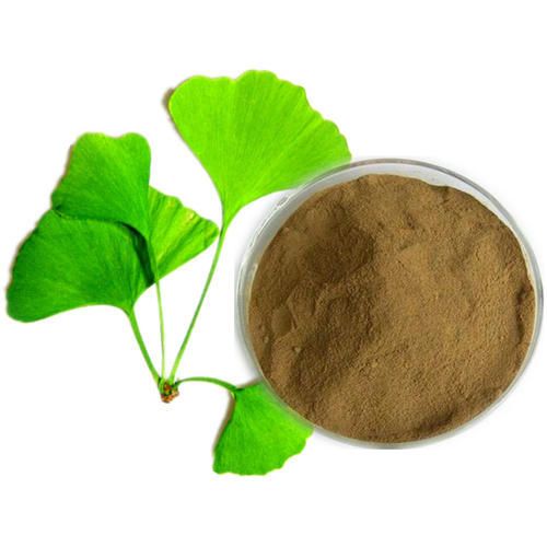 Ginkgo Biloba Extract