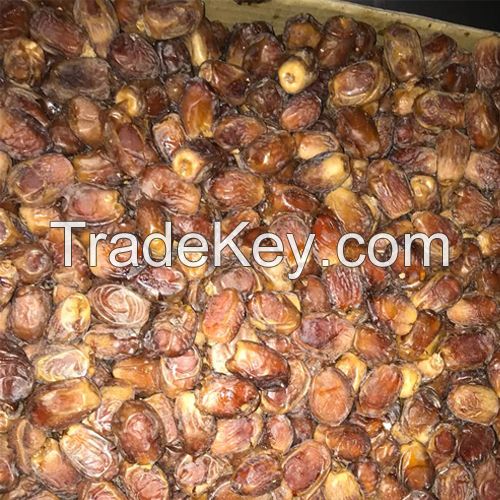 High Quality Iranian Zahidi Dates