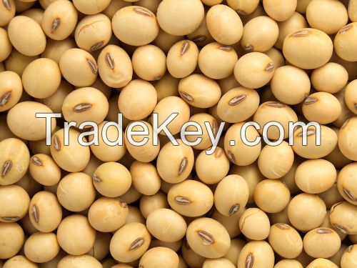 Soybeans | Non-GMO Soybeans