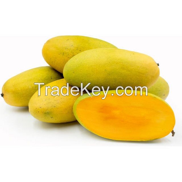 Dasheri Mango