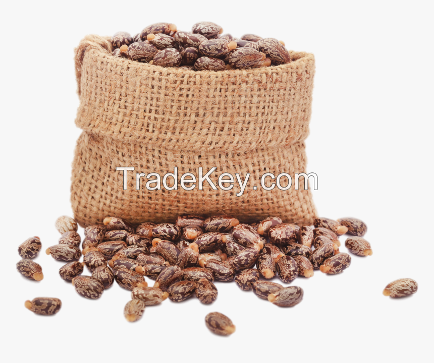 Castor seeds