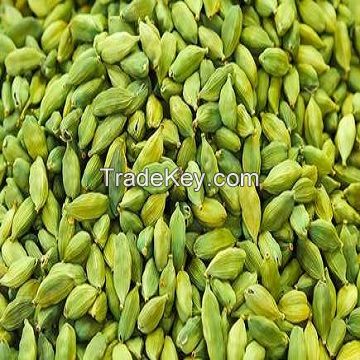 Good Quality Green Cardamom 