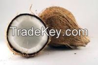 Semi Husked Coconut