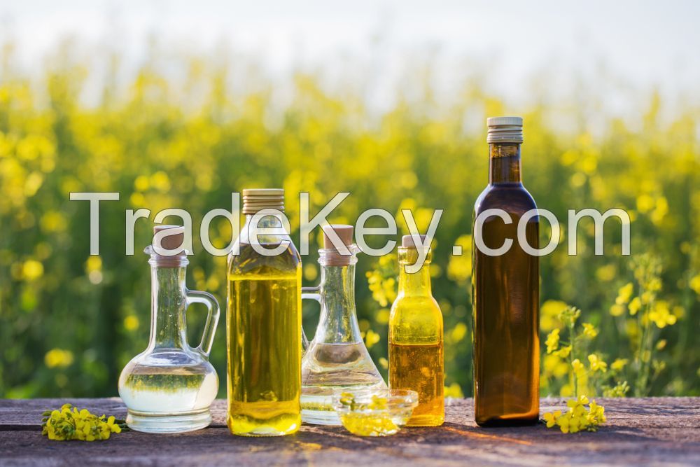 Rapeseed Oil