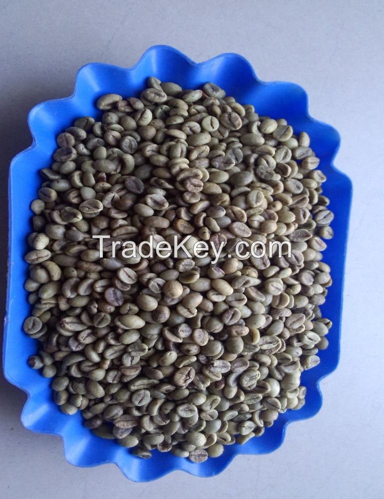 Arabica and Robusta export quality coffee bean