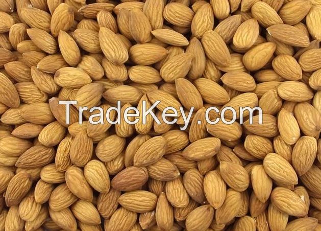 Raw Sweet Almond Nuts