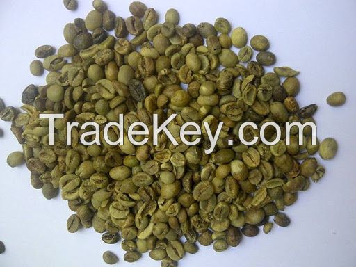 Robusta Green Coffee Beans