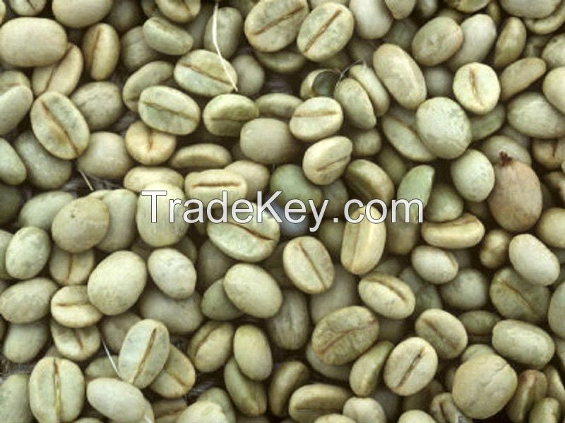 Arabica Green Coffee Beans Grade A