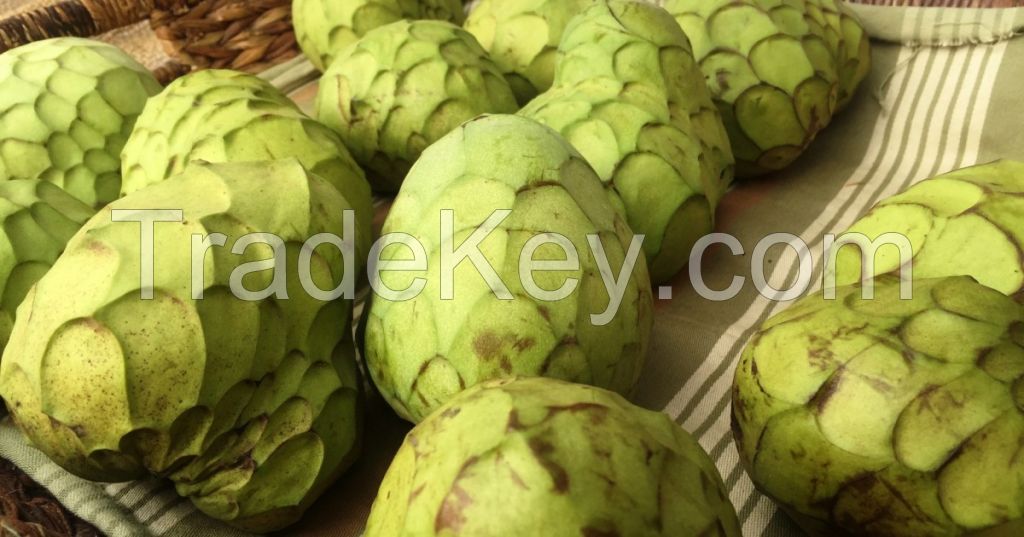 Soursop Fruit, Graviola And Cherimoya Fruit