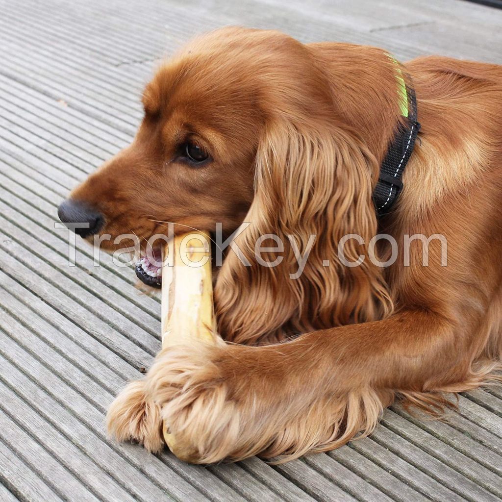 COFFEE WOOD DOG CHEW I The gift for your dog