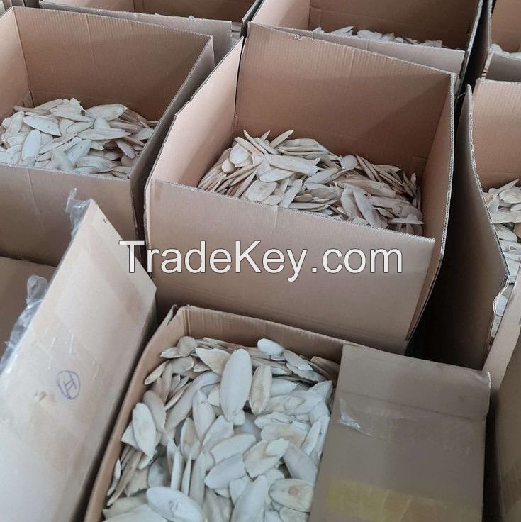 HOT I Cuttlefish Bone I TOP quality from VietNam I BEST SELLER 2023