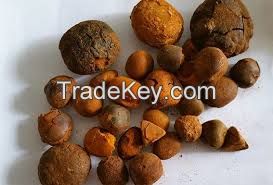 Ox Gallstones