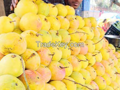FRESH MANGO