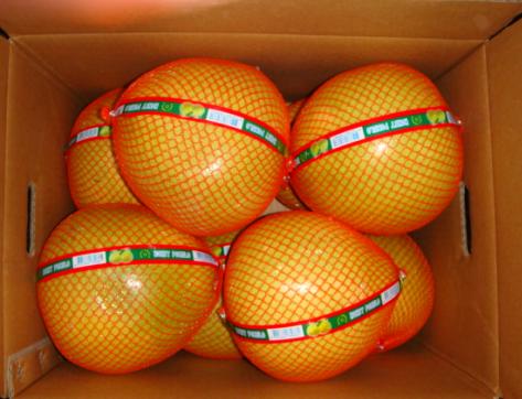 Pomelo