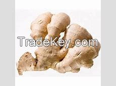 Dried Ginger