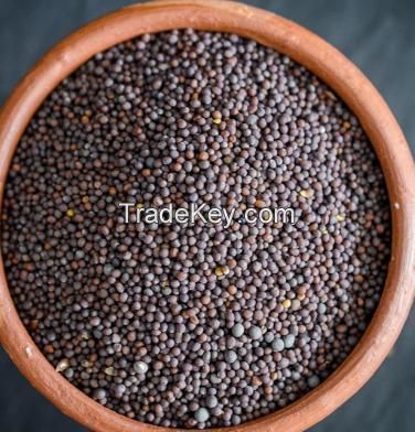 Mustard Seeds