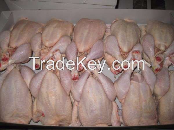 FROZEN WHOLE CHICKEN