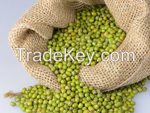 Best quality Mung beans