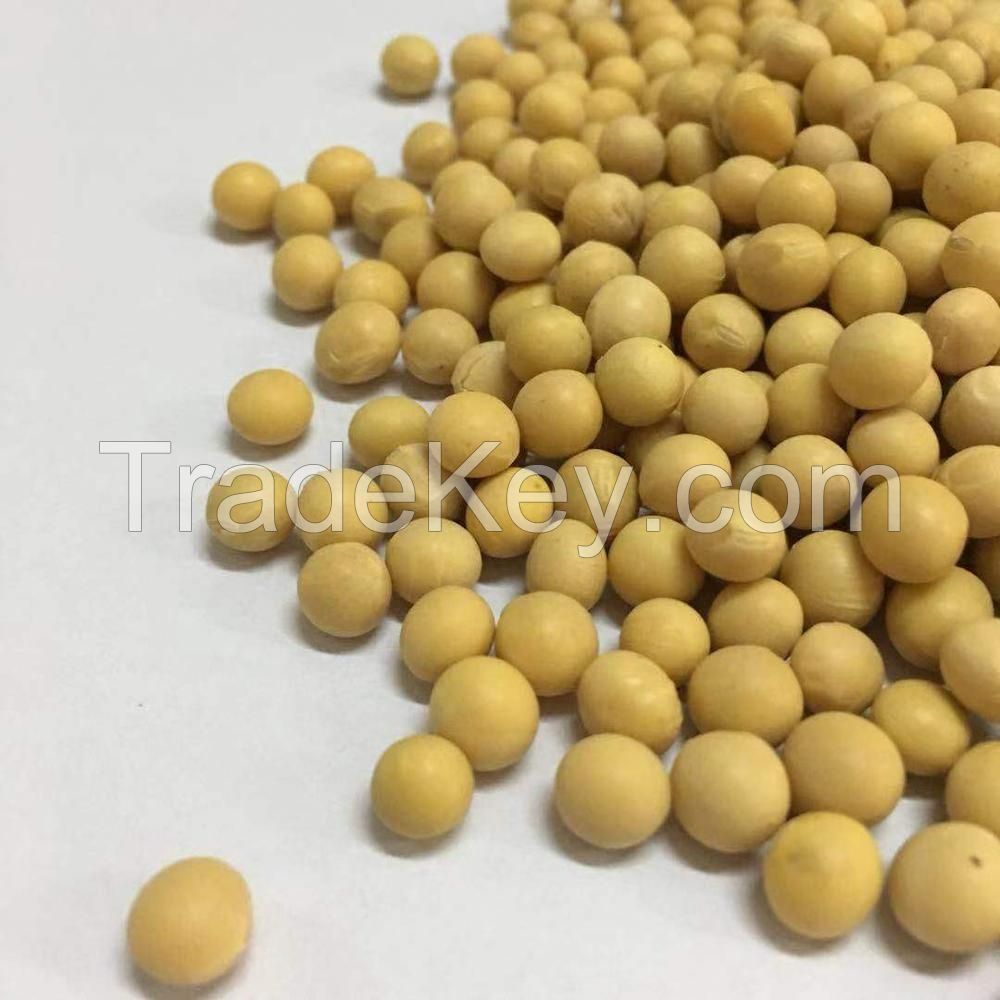 New Crop Soya Beans For Sell 