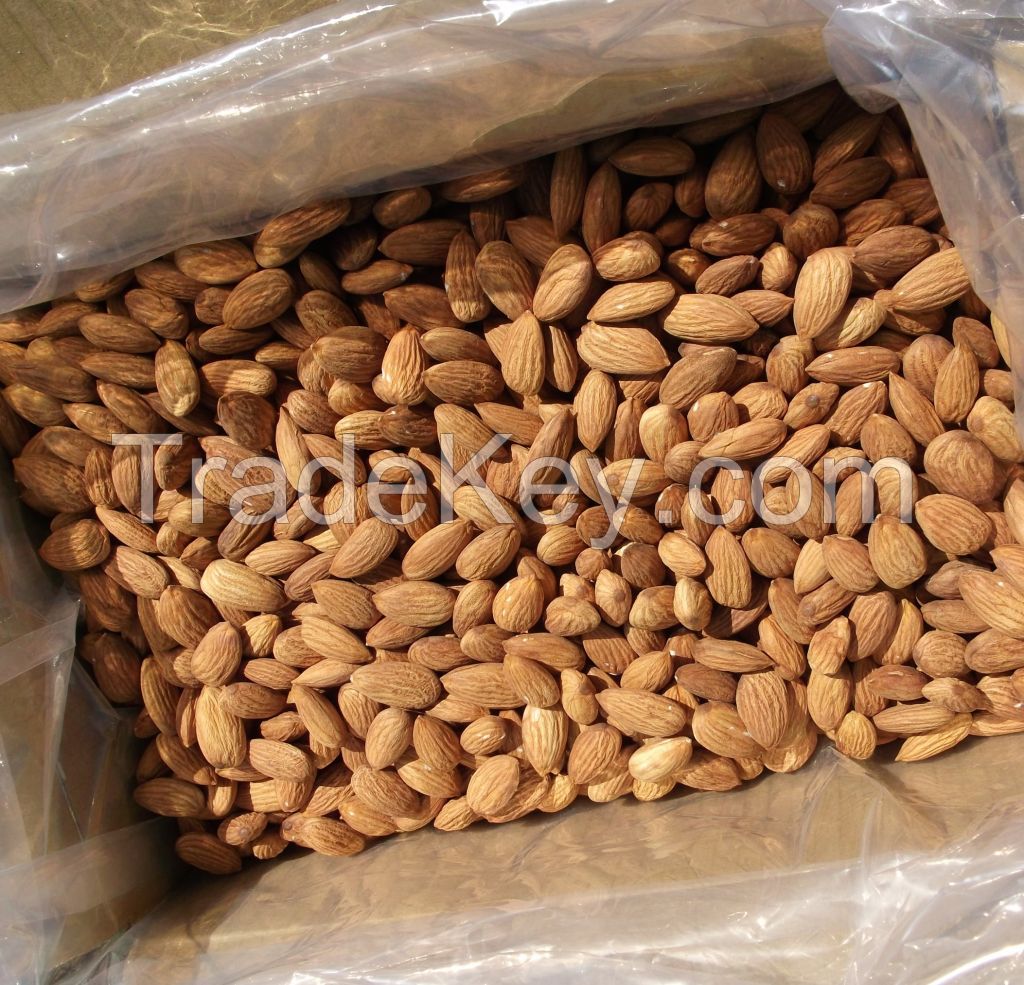 cashew nuts 