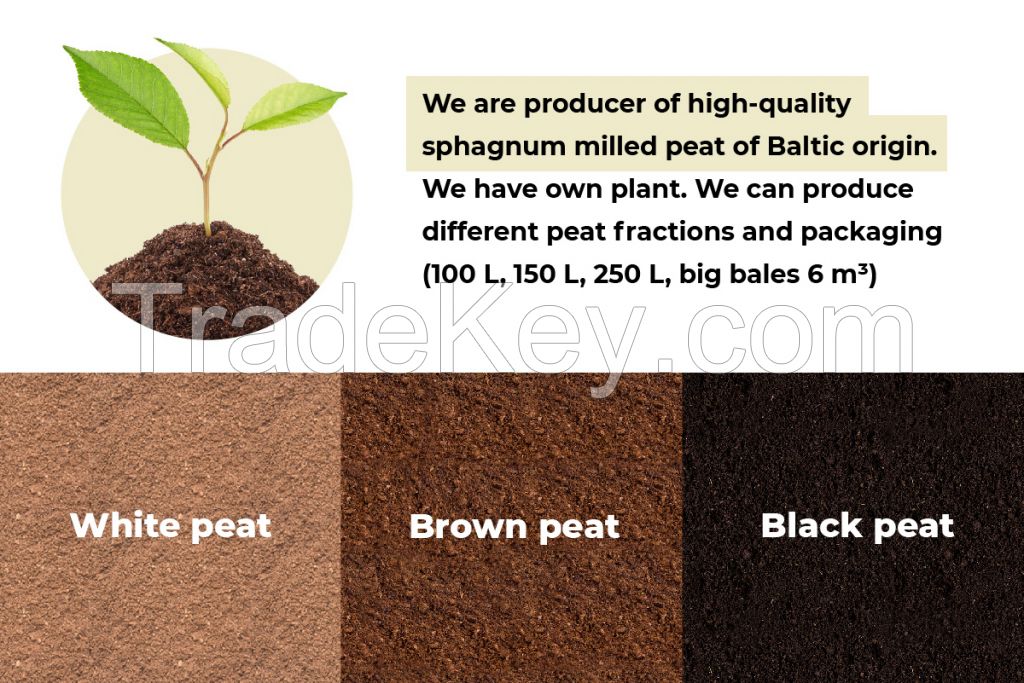 White peat moss