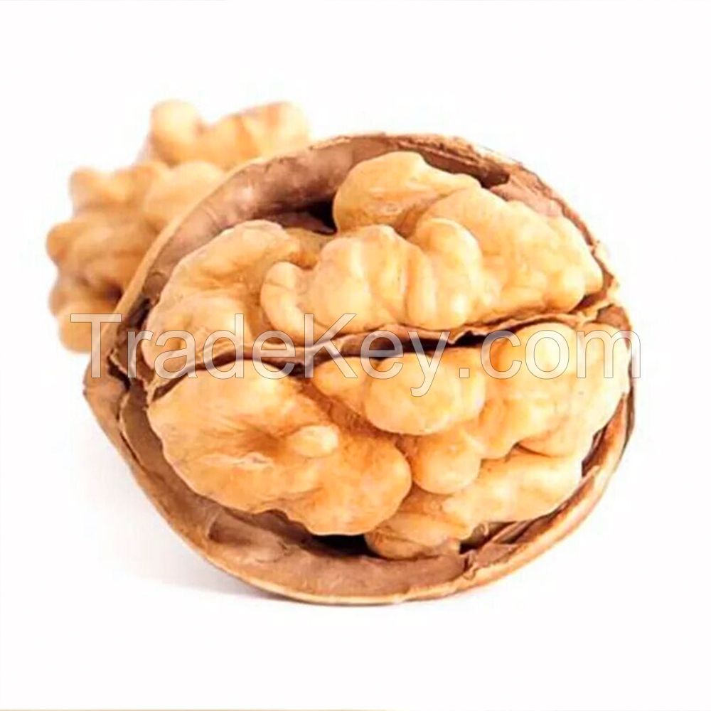 Paper Shell Raw Walnuts with Discount For Bilk Orders