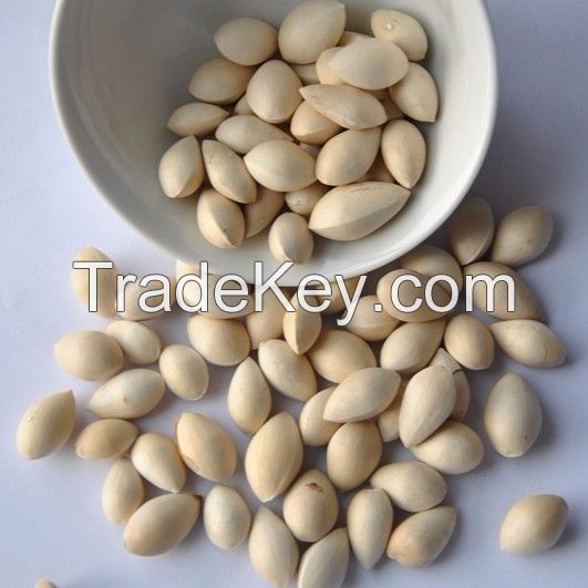 Premium Quality Ginkgo Nuts Ready For Export