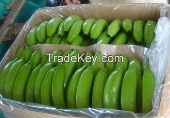 Natural Cavendish Banana 