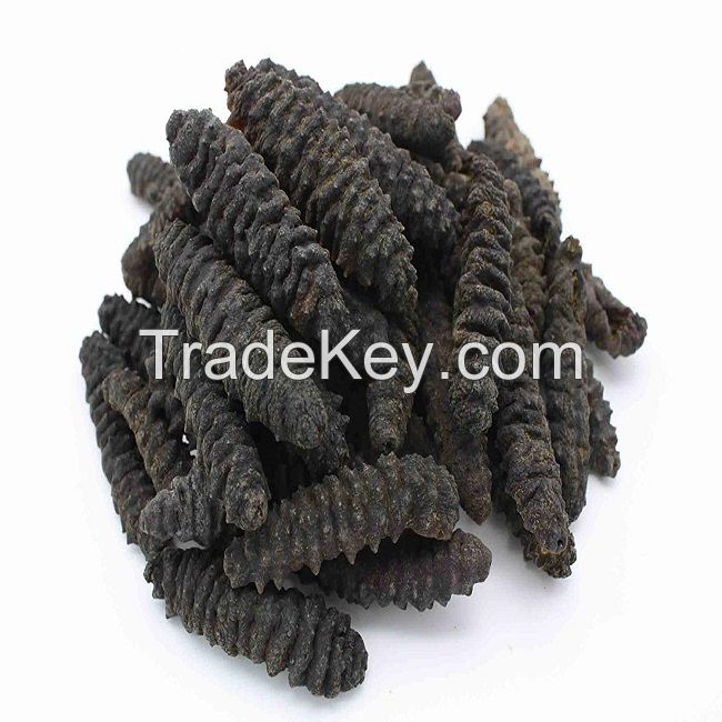 Dried Sea Cucumber Cheap High quality