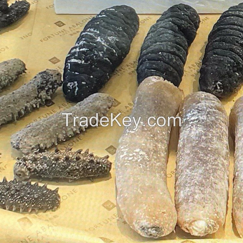 DRIED SEA CUCUMBER