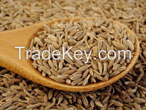 Cumin Seed