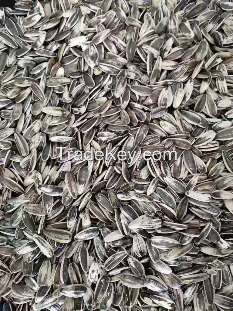 100% Raw sunflower seeds 361 for sale New crop common sunflower seeds Export sunflower seeds