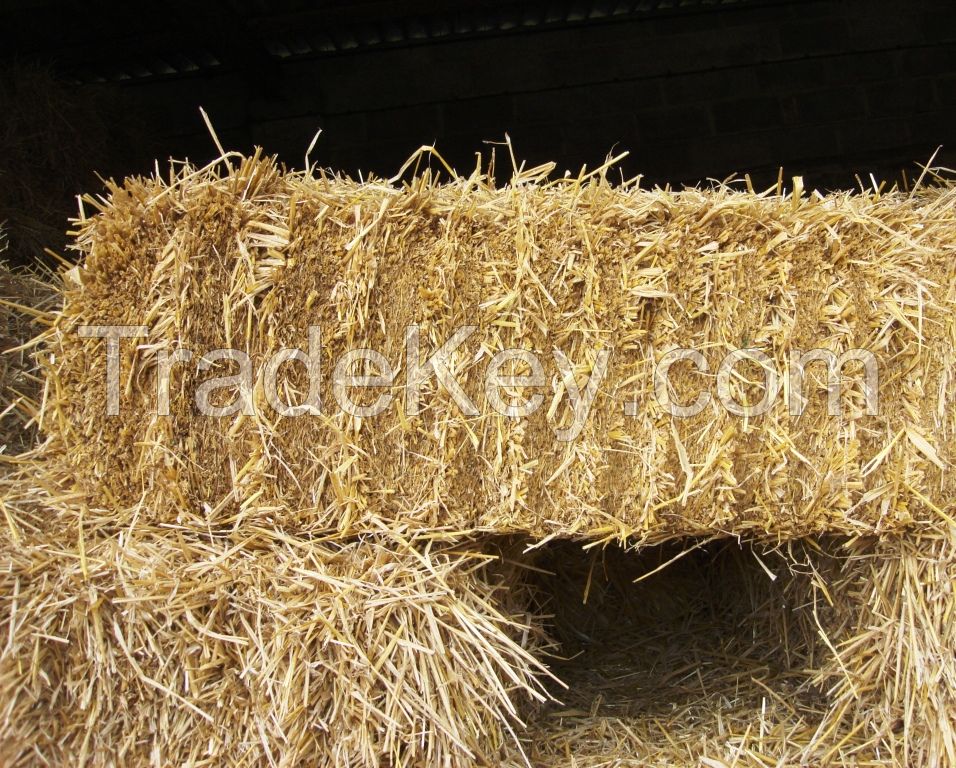 Straw Hay 