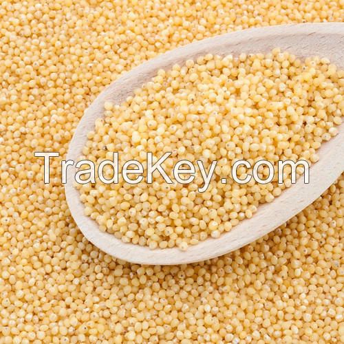 best quality hulled organic millet for sale 