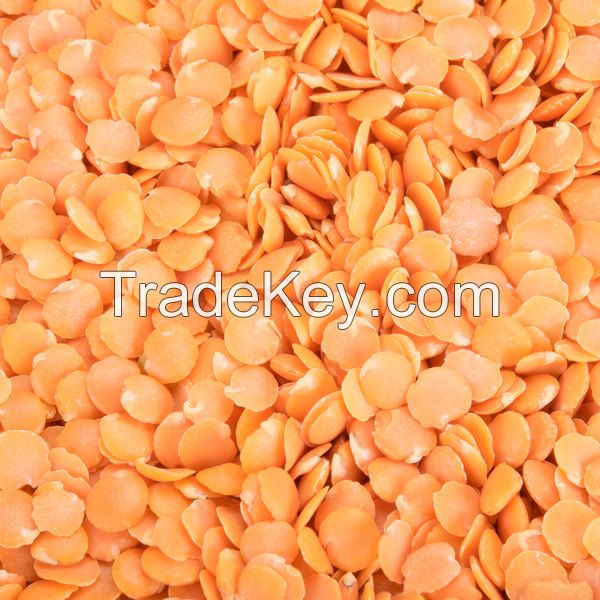 dried red and yellow lentils for sale 