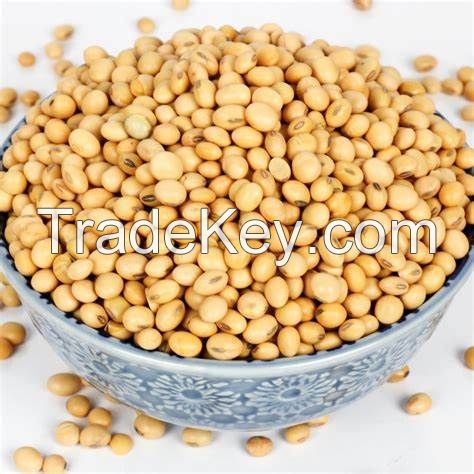 High Quality Non GMO Yellow Soybeans