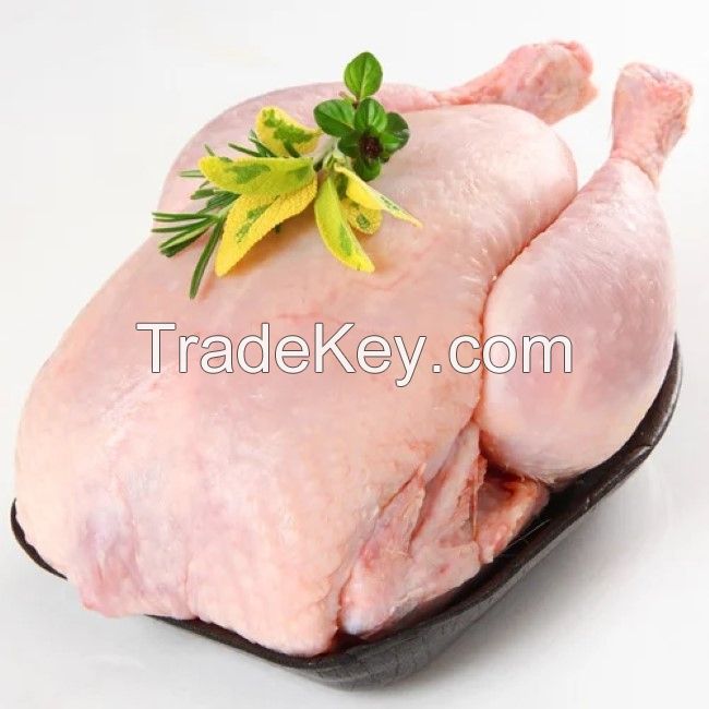 Top Selling Premium Halal Frozen Whole Chicken, Chicken Feet, Paws, Wings