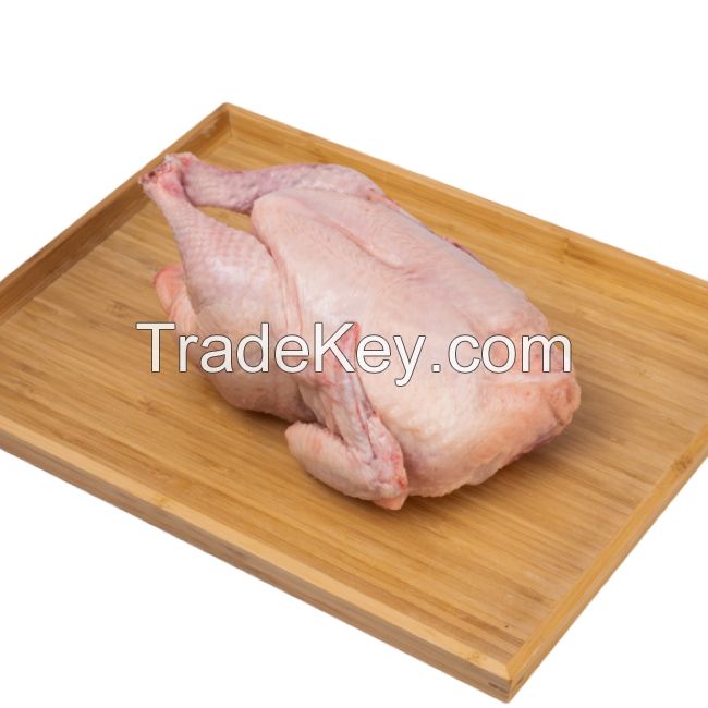 Top Selling Premium Halal Frozen Whole Chicken, Chicken Feet, Paws, Wings